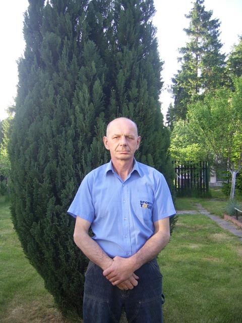 Witold