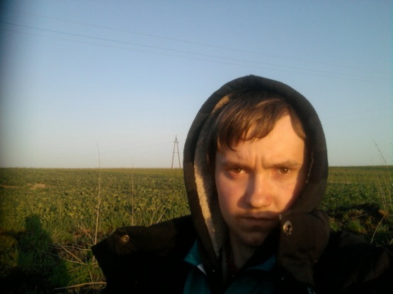 DAwid