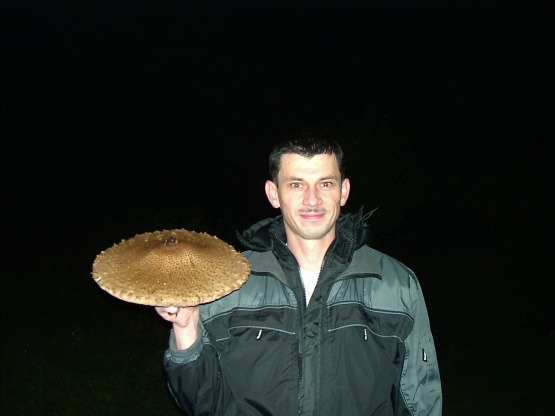 Ładny grzybek.