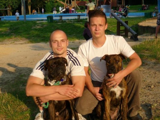 Tomek