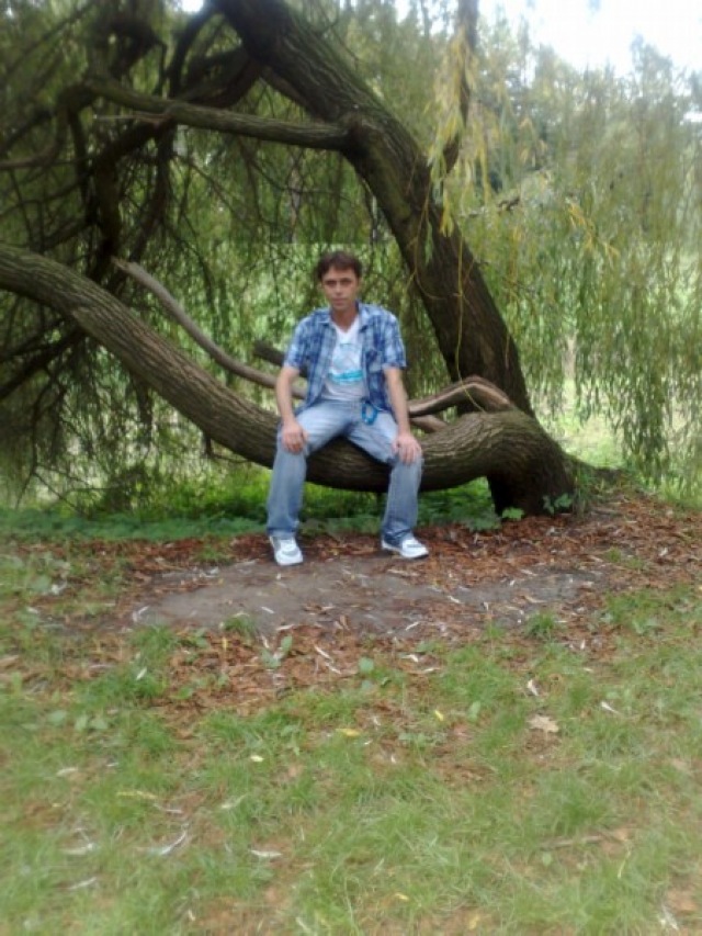 Darek