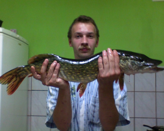 mariusz
