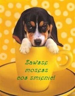 Pawel