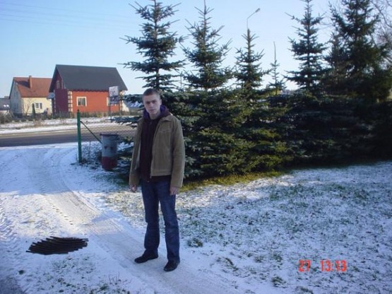 Marek