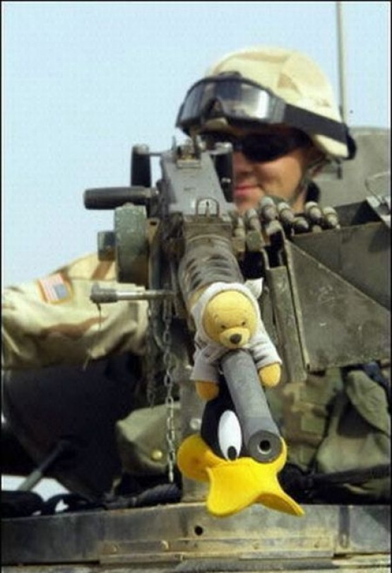 byczek80