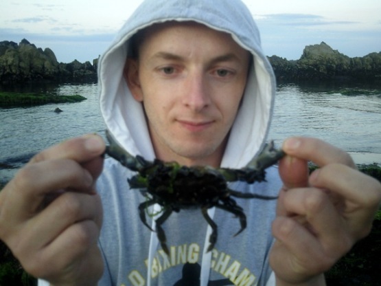 Tomek