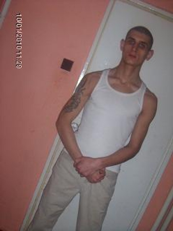 pittbull