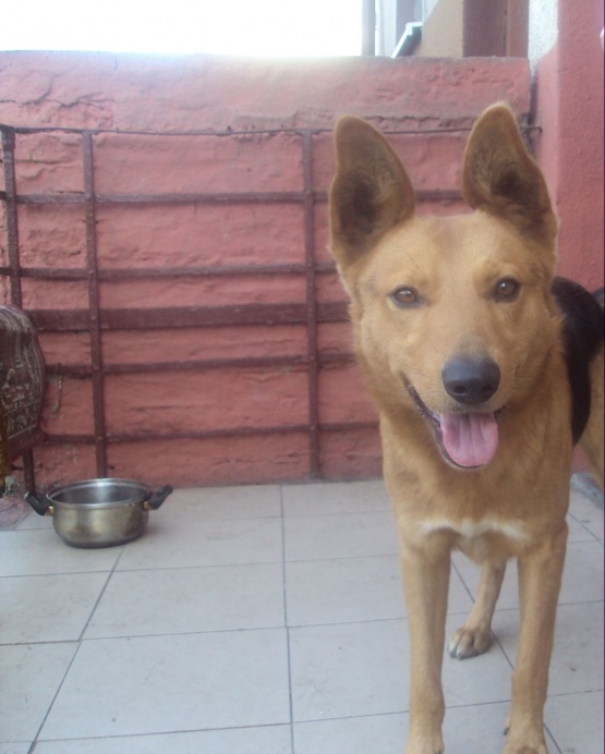 Sandra