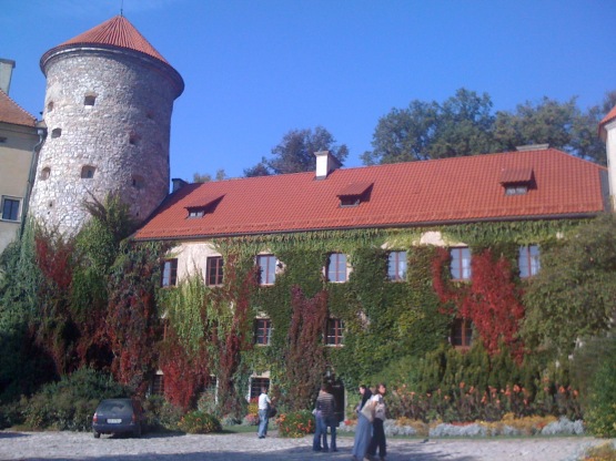Tomek