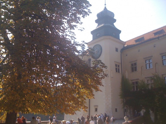 Tomek