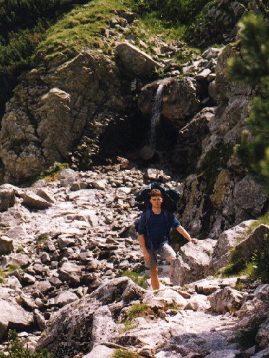 Tomek