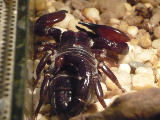 Bogdan8606