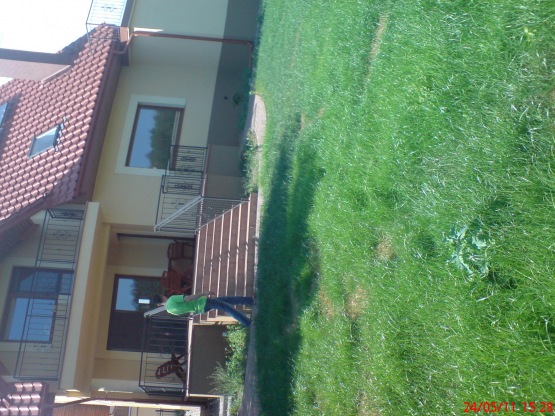 Dariusz
