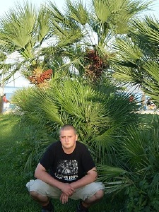 Avatar