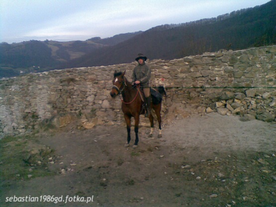 Sebastian_B