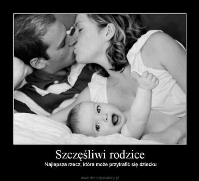 Feniks