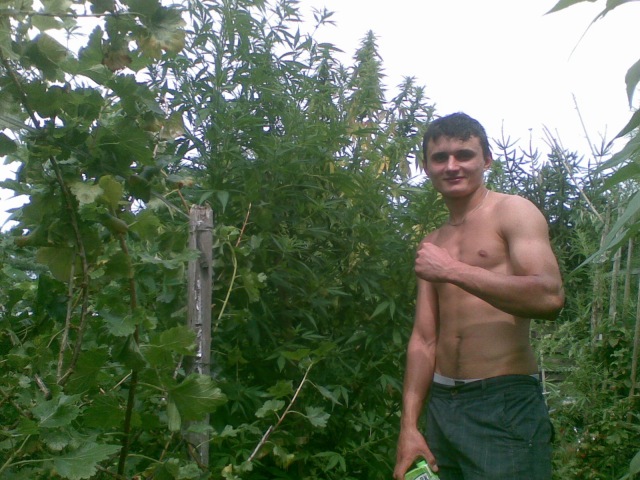 Tomas24