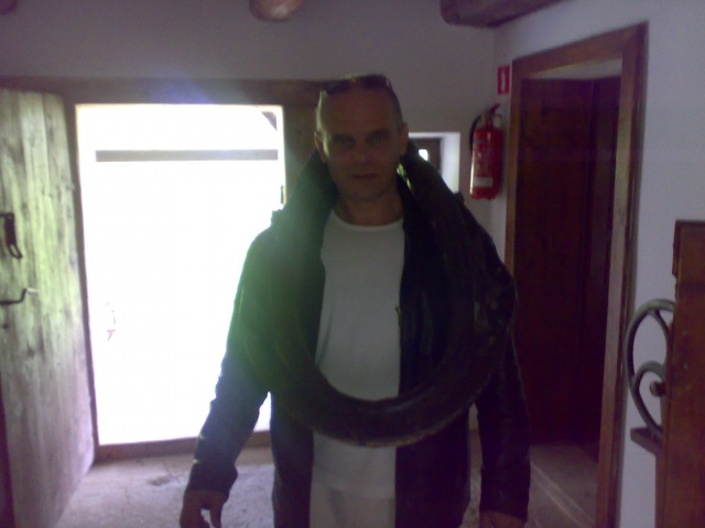 heniek 50