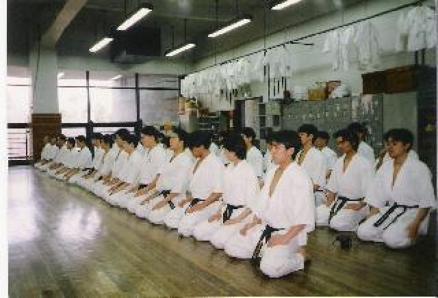 bruceleetedy