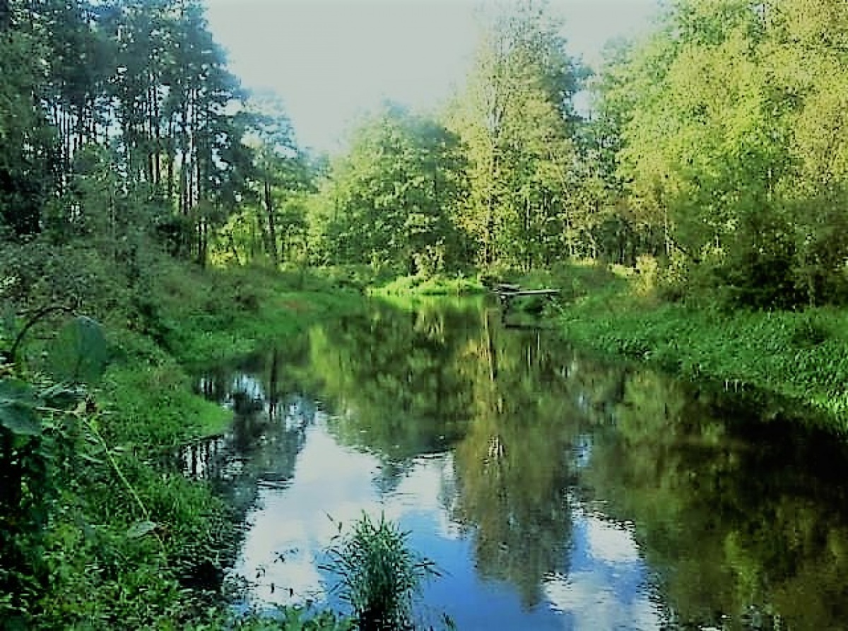 Damira