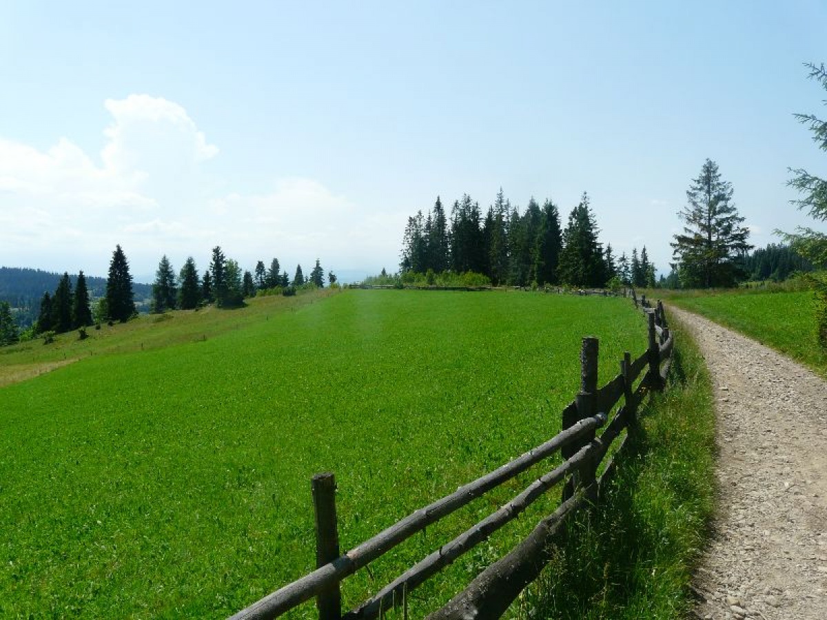Damira