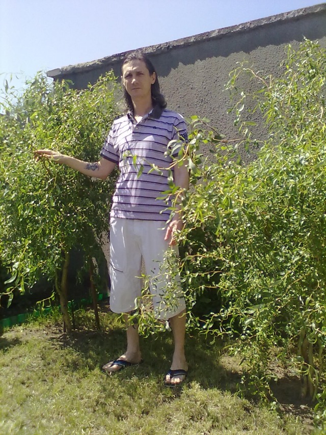 jacek.38