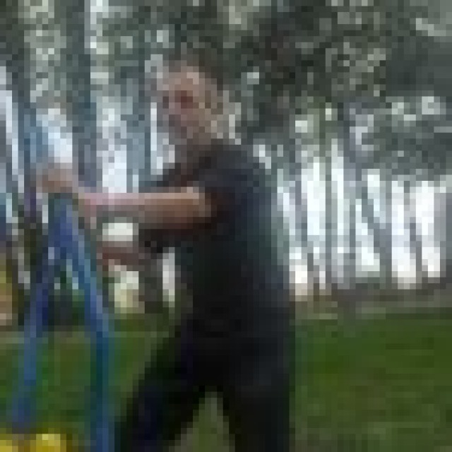 wiking66