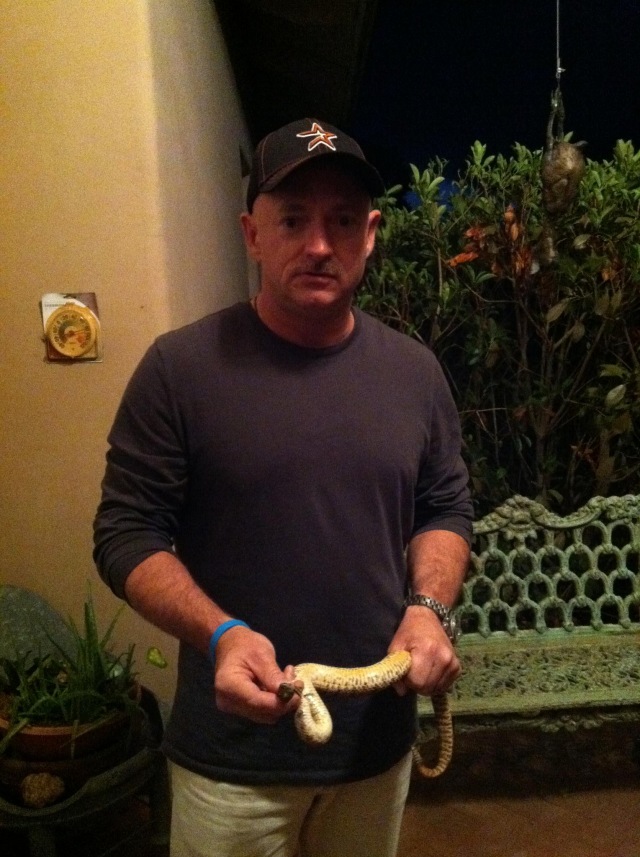 markkelly