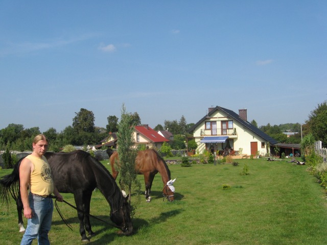 vaqueros