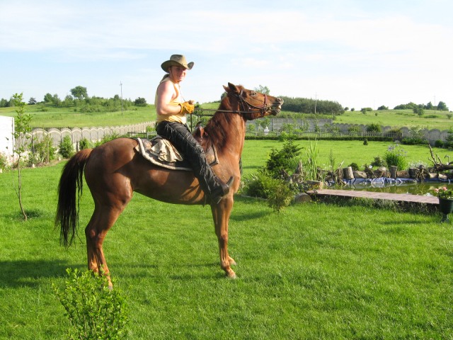 vaqueros