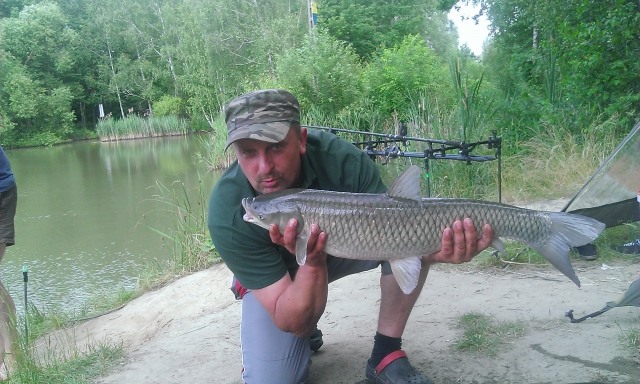 adamek40