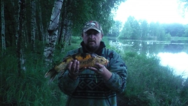 adamek40