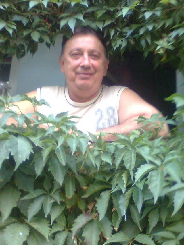 pulpecik
