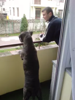 grzegorz