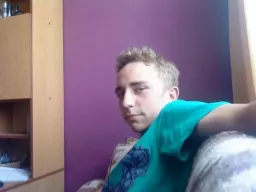 Sylwek