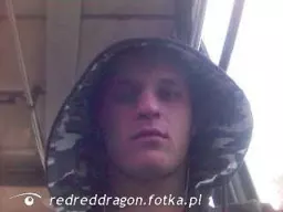 tomek-dragon