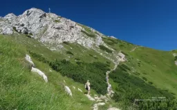 zbyszek