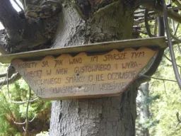 gumiberg