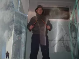 david