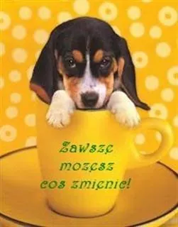 Pawel