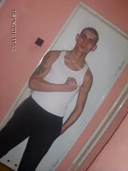pittbull