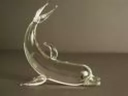 delfin12