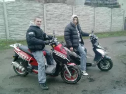 mundek