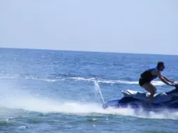 spinacz