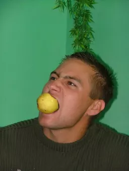 Michał