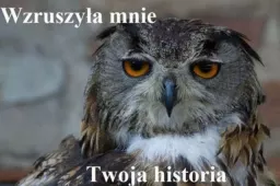 miniu70