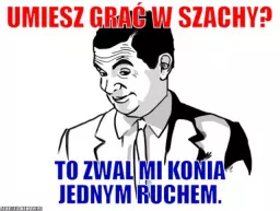 zizi91