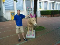 tomek777