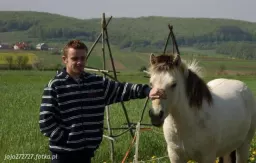 Daruś