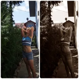 frezja...